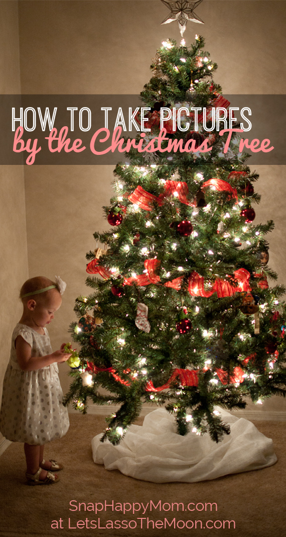 classic christmas tree pictures snap happy mom classic christmas tree pictures snap happy mom